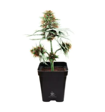 Árvore Decorativa 20 cm de frente