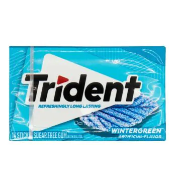 Chiclete Importado Trident Wintergreen