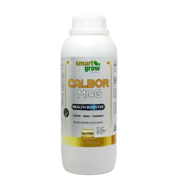 Fertilizante Smart Grow Calbor Mag 1L