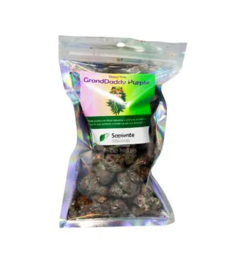 Chocolate Choco Pop Grand Daddy Purple 40g