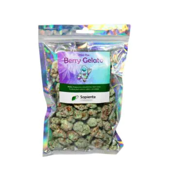 Chocolate Choco Pop Berry Gelato 80g