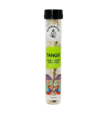 Cone Budmaster Tangie