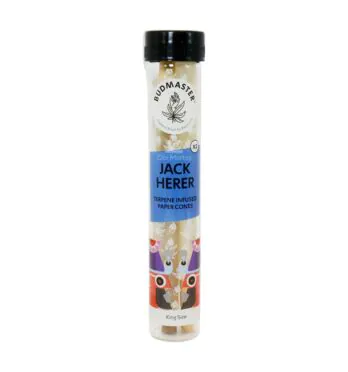 Cone Budmaster Jack Herer