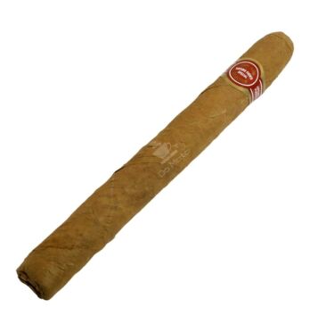 Arturo Fuente Curly Head