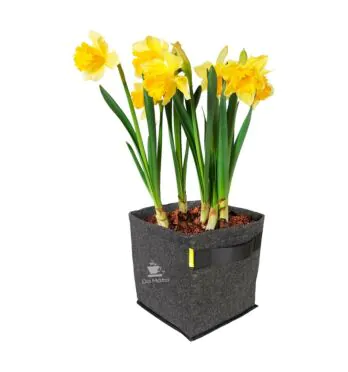 Vaso de Tecido Ativo ProPot Garden High Pro 15L