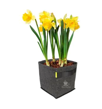 Vaso de Tecido Ativo ProPot Garden High Pro 20L