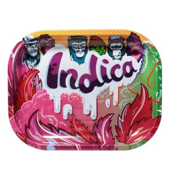 Bandeja de Metal Indica