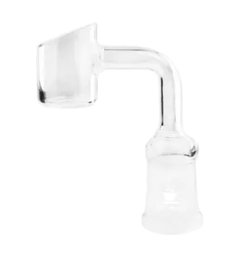 Quartz Banger Squadafum S/ Insert Fêmea 14mm de frente tabacaria da mata