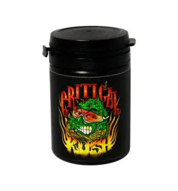 Terpeno Critical Kush Natural Terpenes 2ml