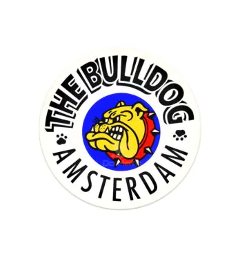 Luminoso The Bulldog