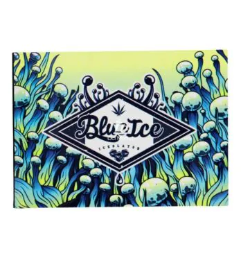 Piteira de Papel A Piteira Blue Ice Extra Longa de frente tabacaria da mata