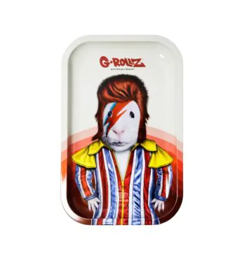 Bandeja de Metal G-Rollz Glam Rock Médio