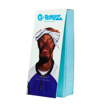 Piteira G-Rollz Pets Rock Large Blue