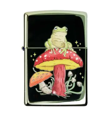 Isqueiro Zippo Mystical Frog Design 48973 de frente