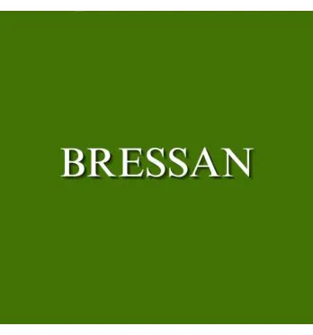 Logo da Bressan